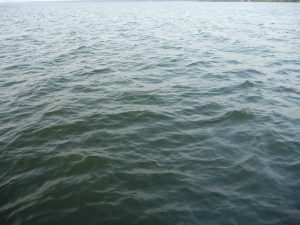 sea water- public domain pictures